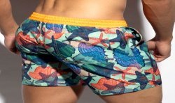 Bath Shorts of the brand ES COLLECTION - Cascara Swim Shorts - Ref : 2405 C32