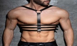 Harness of the brand AD FÉTISH - Leather stack harness - Ref : ADF200 C10