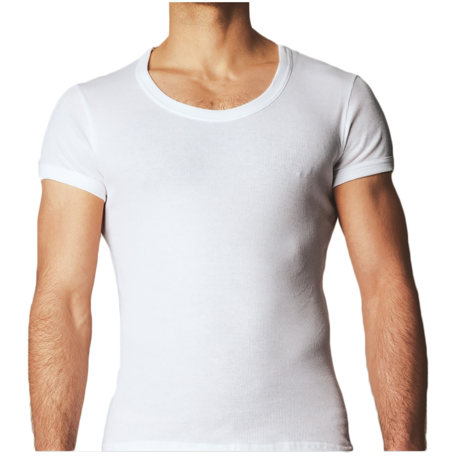 modous t shirt online