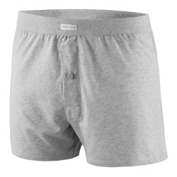 Boxer del marchio IMPETUS - Slip a discesa in cotone puro - grigio - Ref : 1271001 507