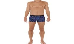 Boxershorts, Shorty der Marke HOM - Boxer HOM Will - Ref : 402642 P0BI