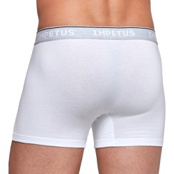 Boxer shorts, Shorty of the brand IMPETUS - Boxer COTTON ORGANIC white - Ref : GO20024 26C
